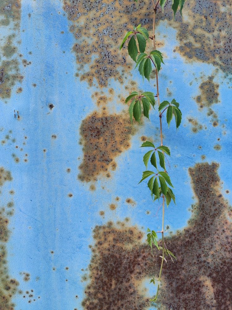 Photograph by Екатерина Стрельцова