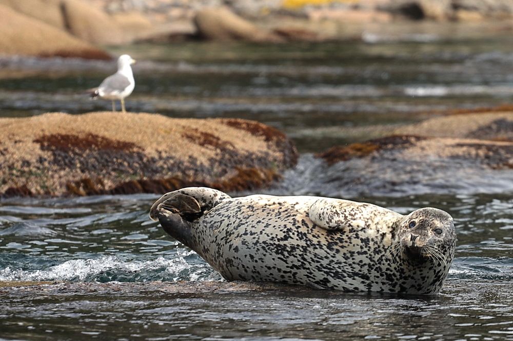 Photograph by Лада Денисова