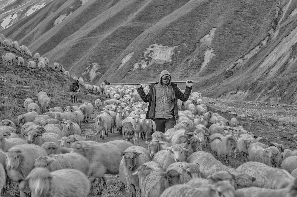 Photograph by Лазарев Сергей