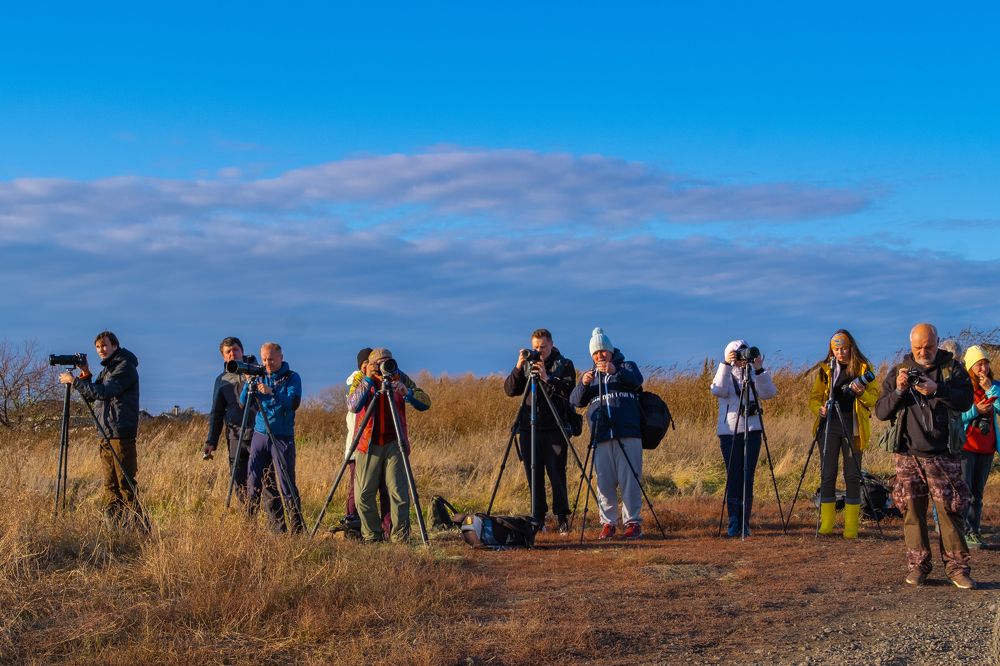 Photograph by Никита Борзов
