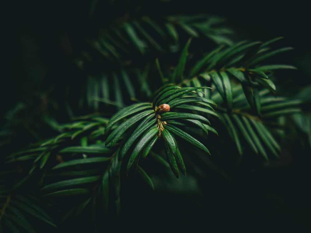 Photograph by Никита Борзов