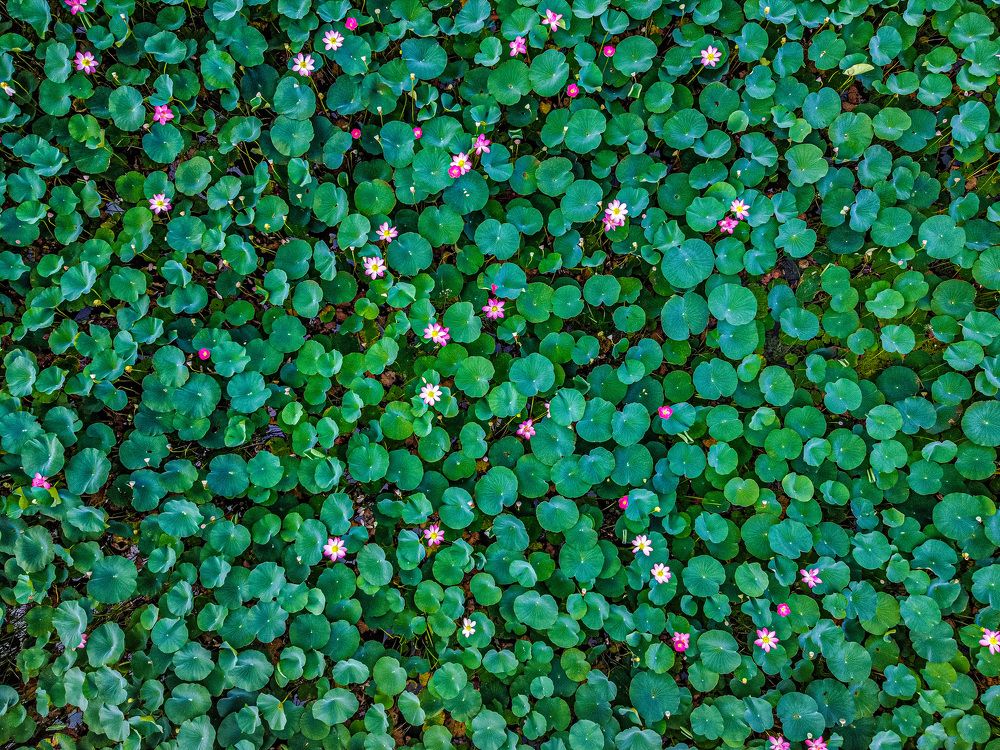 Photograph by Никита Борзов