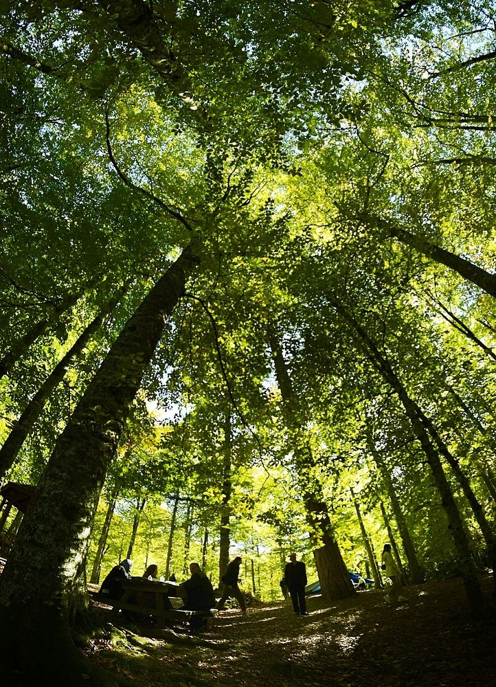 Photograph by Süleyman Ülker