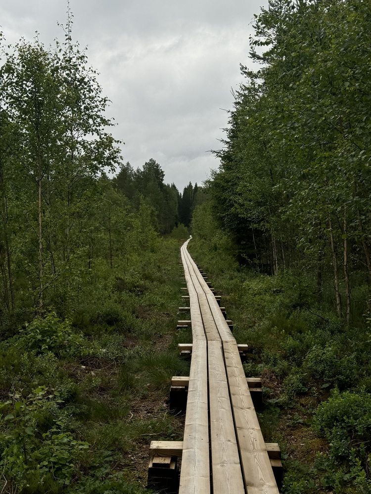 Фотография автора Anna Tikka