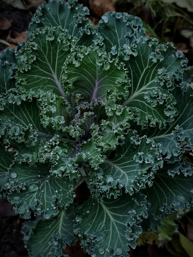 Photograph by Светлана Холодова