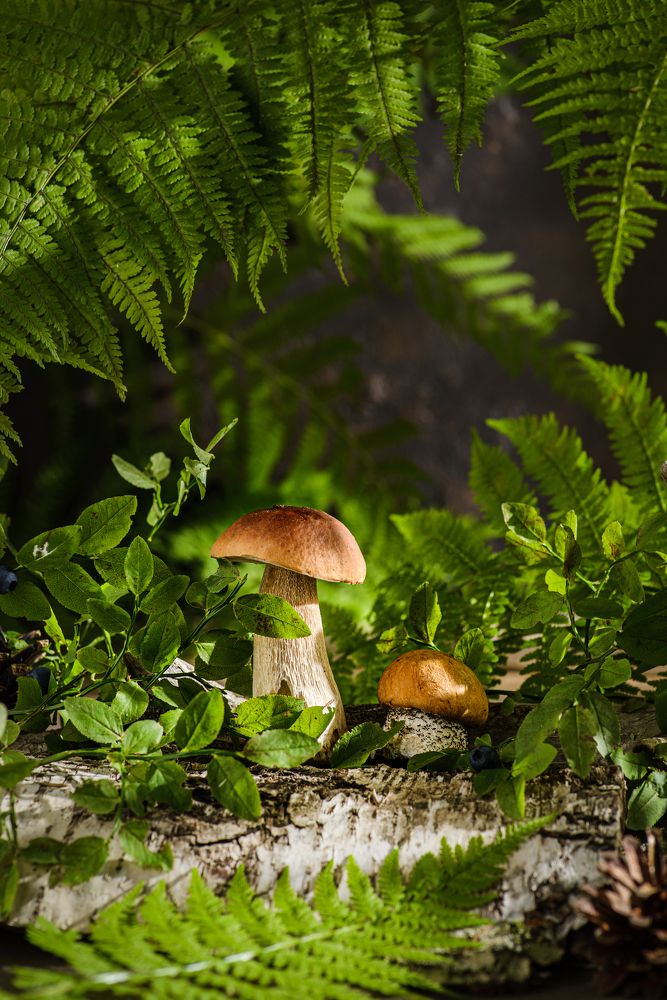 Photograph by Юлия Лавлейс