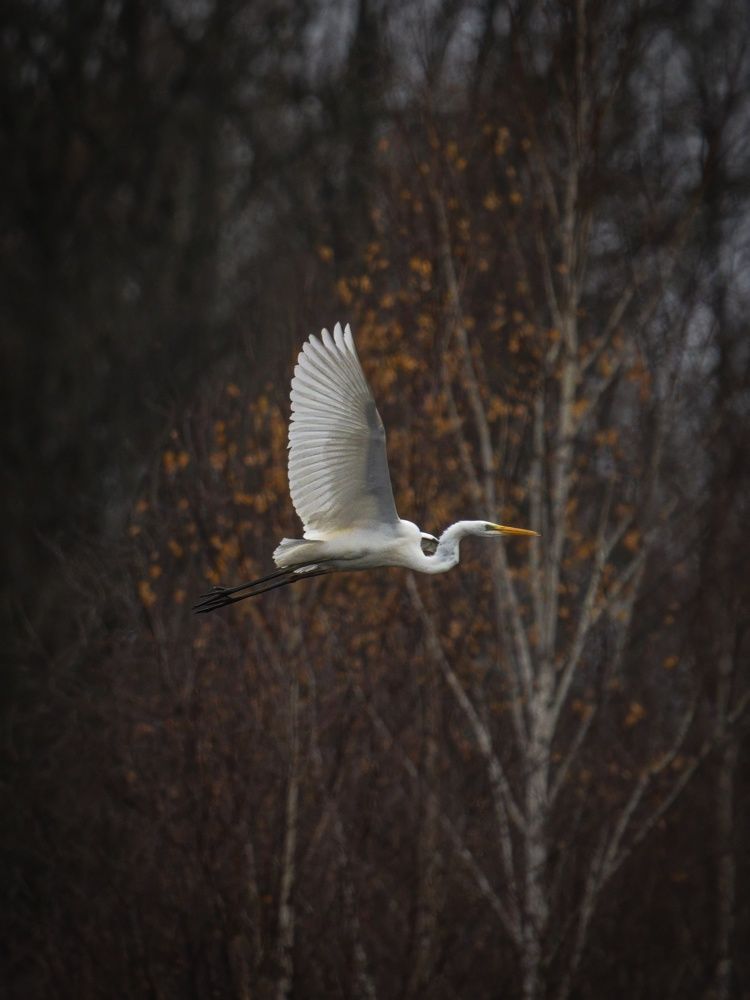 Photograph by Хабаров Сергей