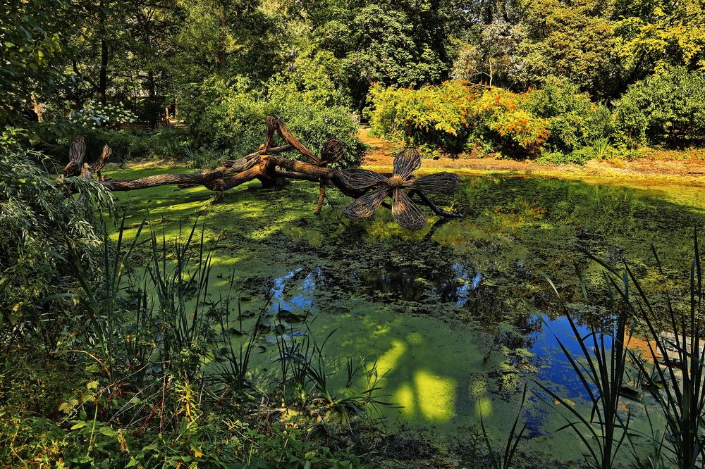 Photograph by Алексей Зимин