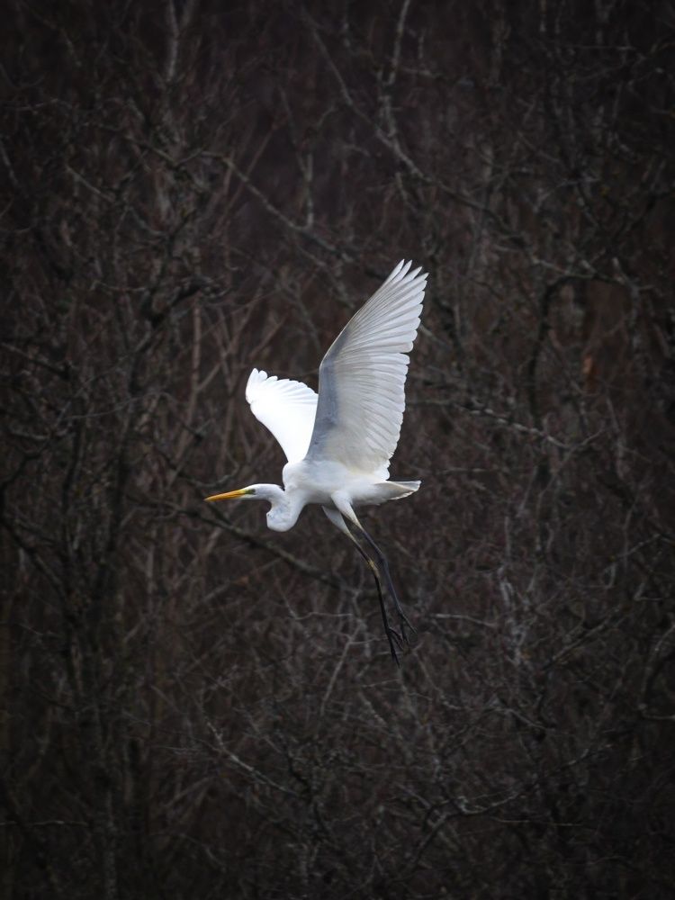 Photograph by Хабаров Сергей