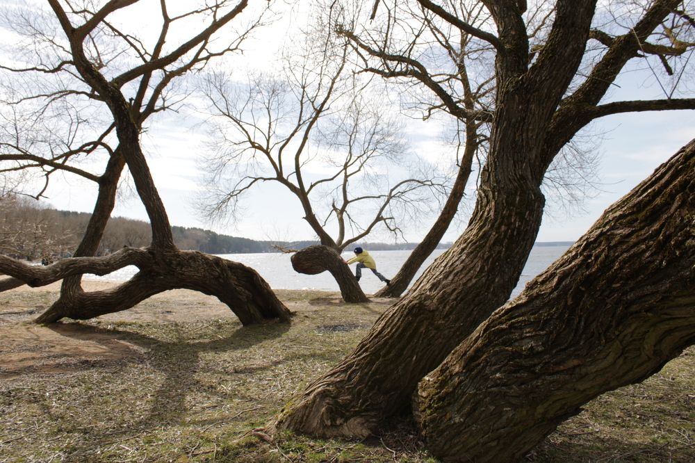 Photograph by Анна Янчилина