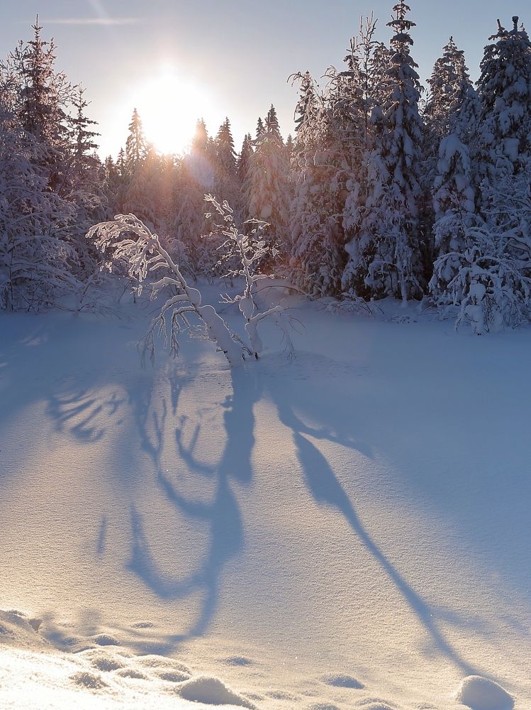 Photograph by Николай Раппу