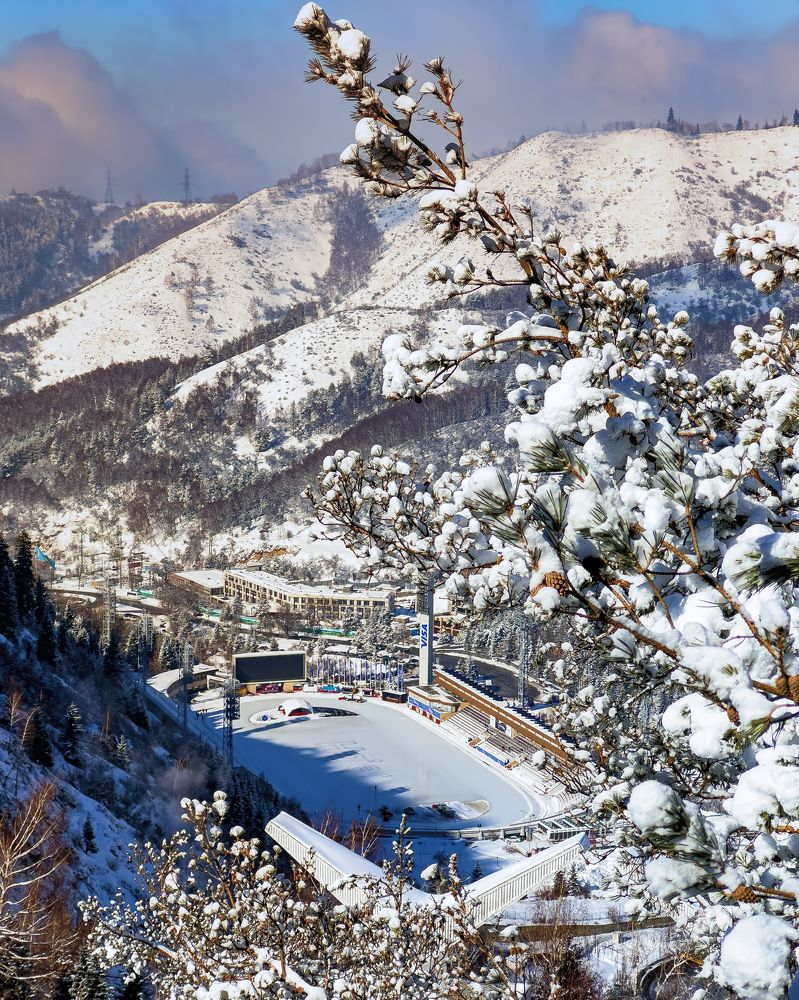 Photograph by Ольга Бибекина