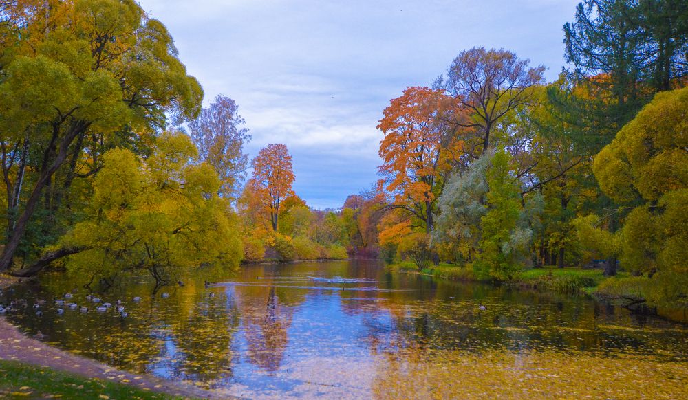 Photograph by Светлана Муравьева