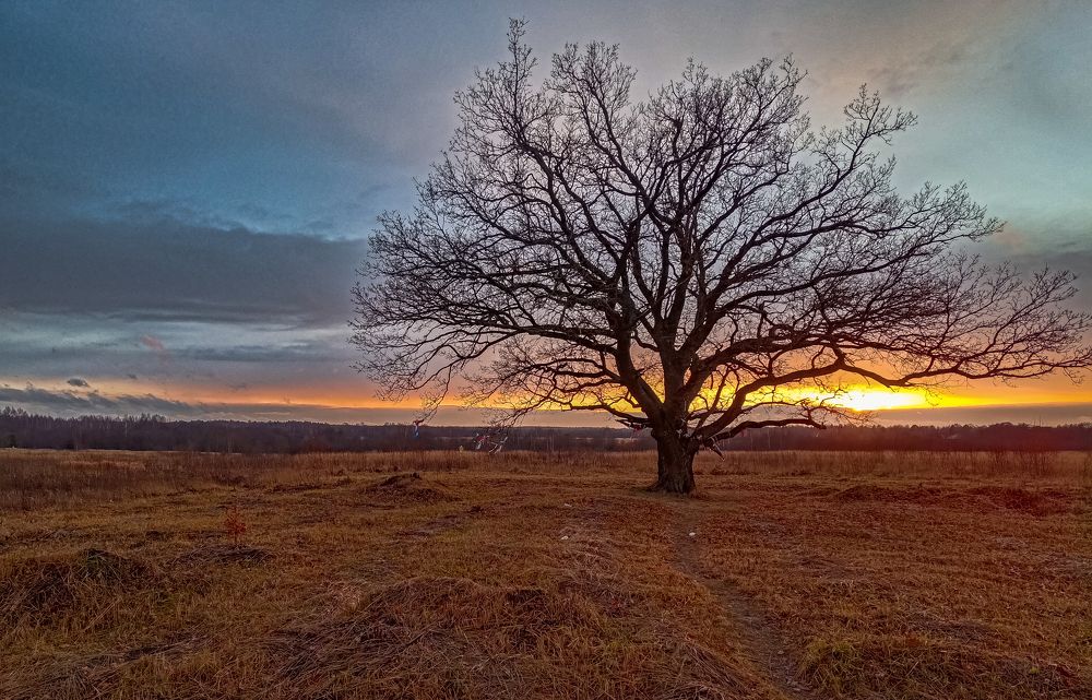 Photograph by Евгений Патрешов