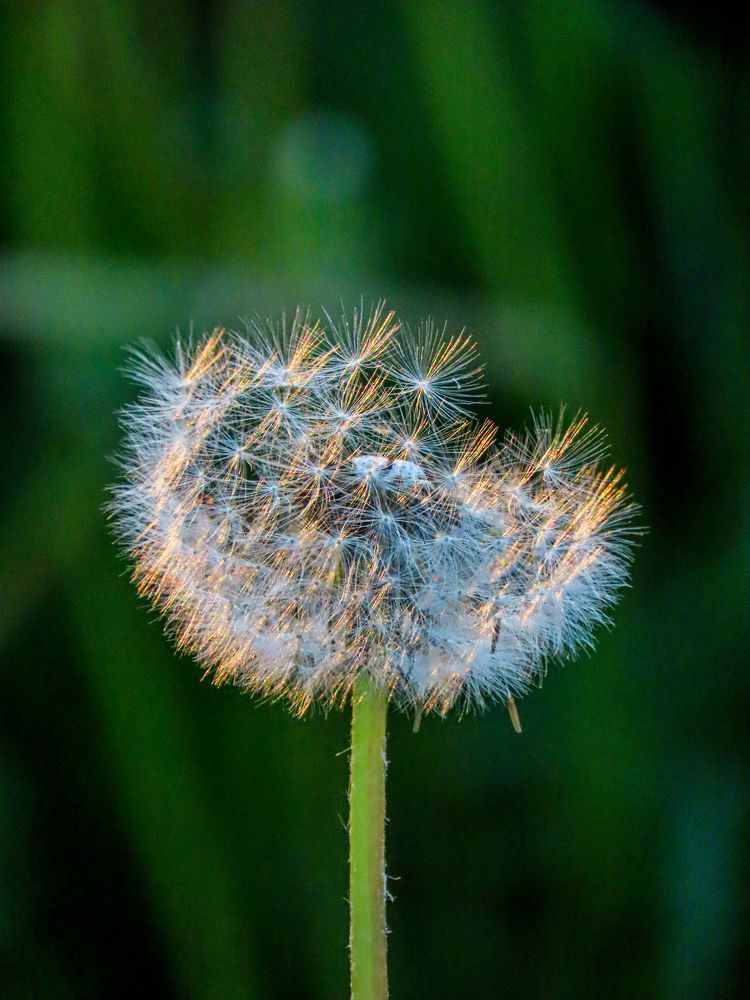 Photograph by Светлана Башаева