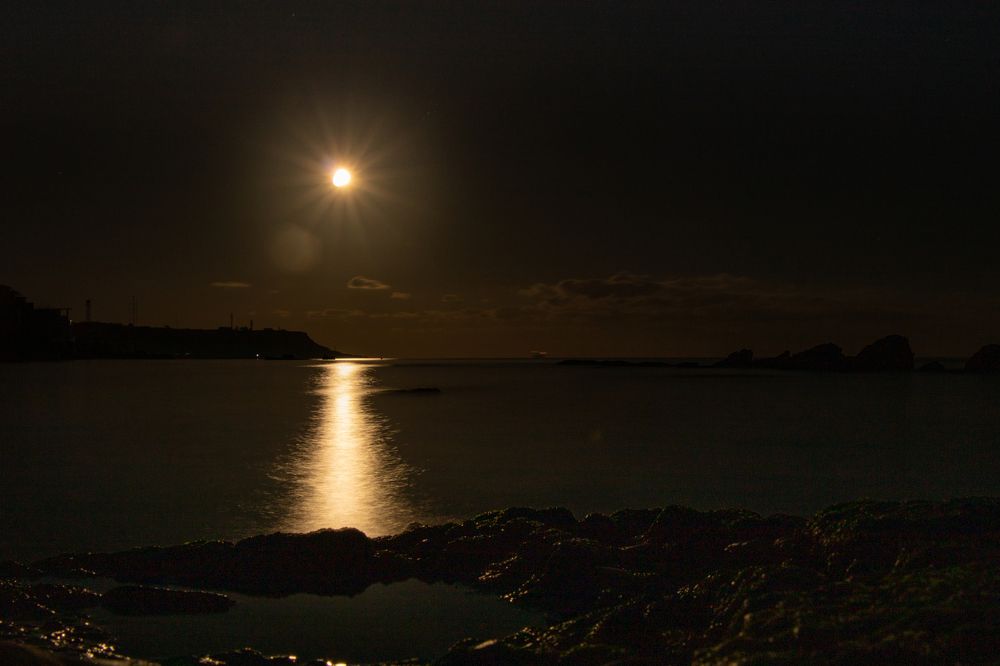 Photograph by Станислав Кунецкий