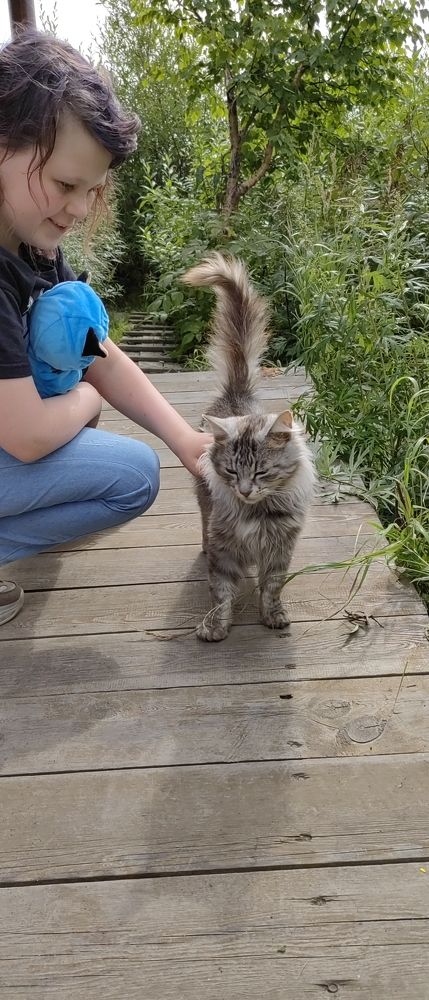 Photo #11388442