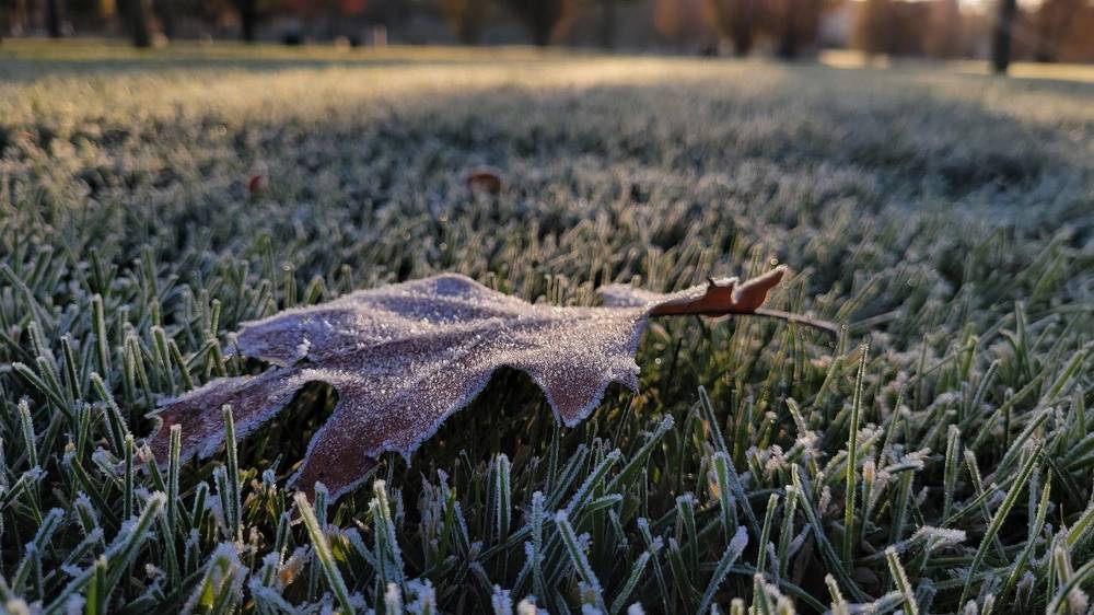 Photograph by Дерезюк Юрий Александрович