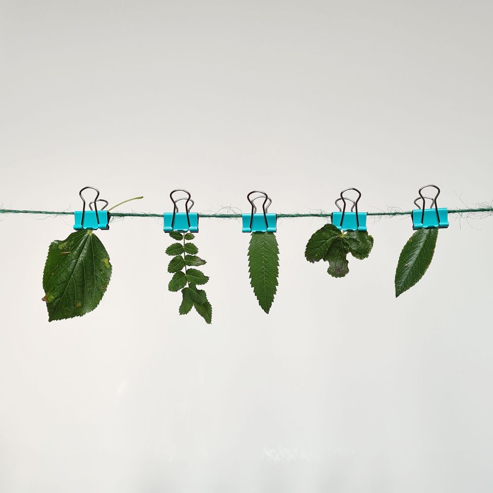 Фотография автора Ирина Дашевская