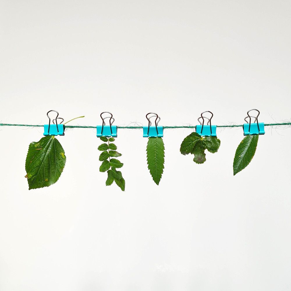 Фотография автора Ирина Дашевская