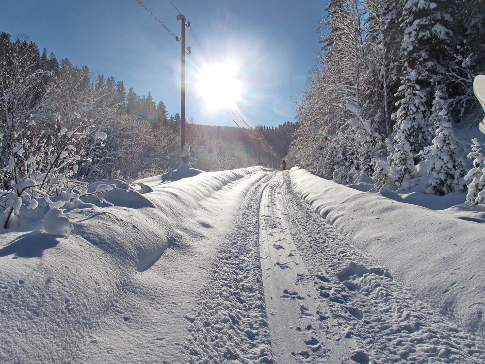 Фотография автора Сергей Тимофеев