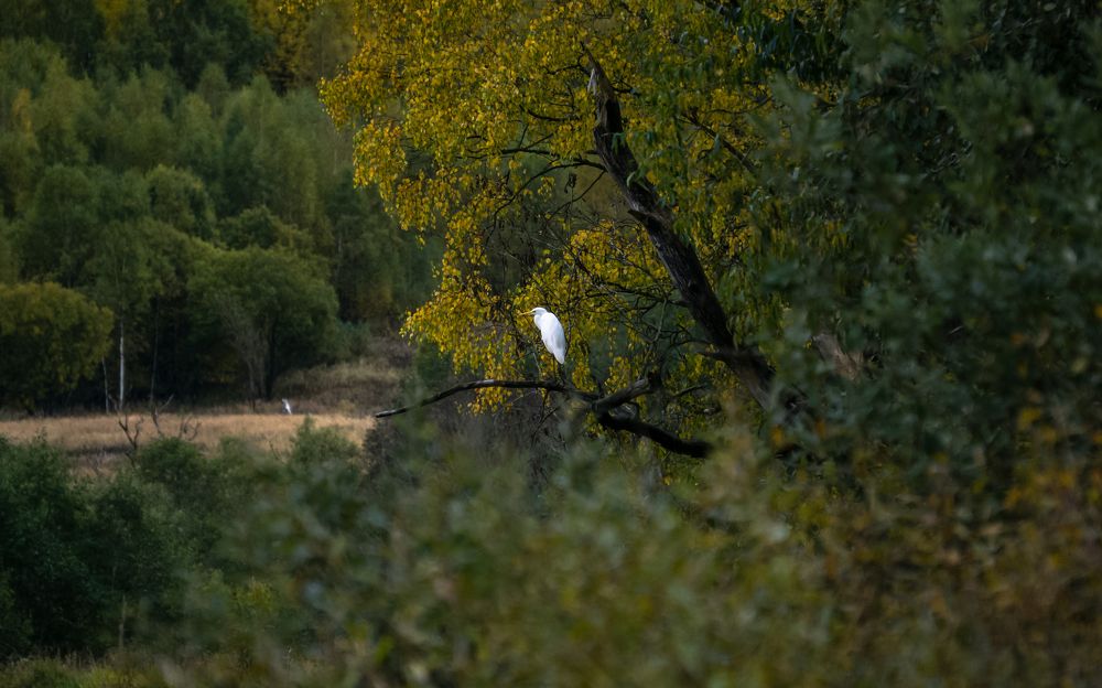 Photograph by Хабаров Сергей