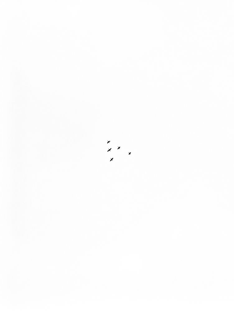 Photograph by Светлана Таркан