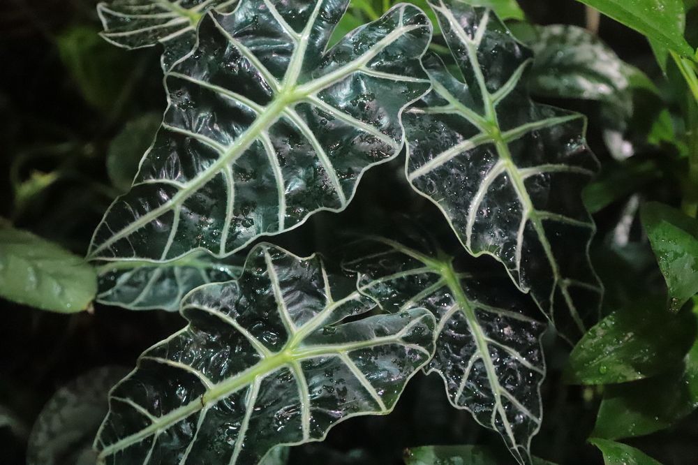 Photograph by Лада Денисова