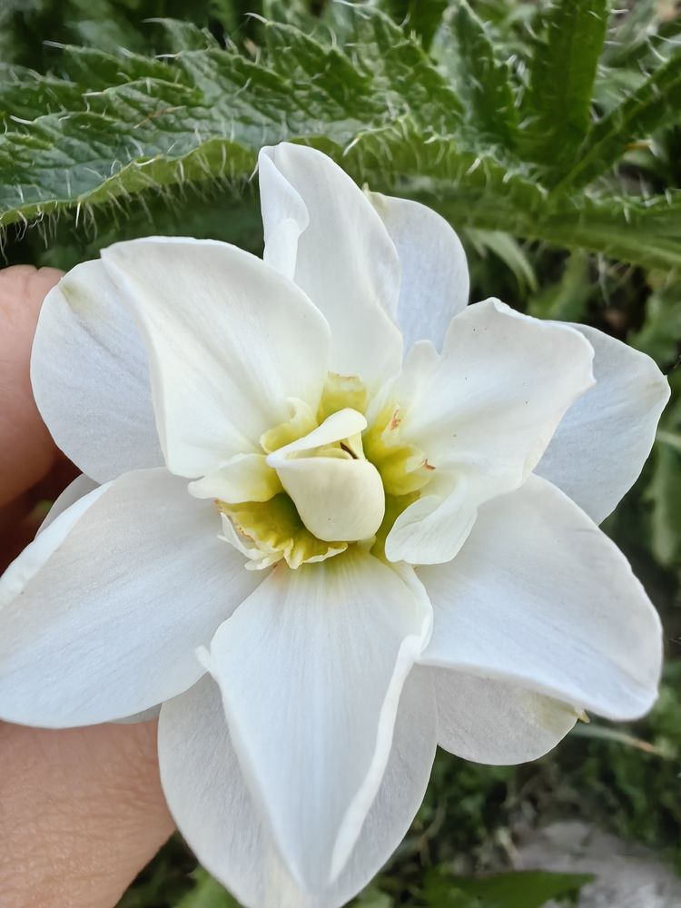 Photograph by Светлана Зыкова