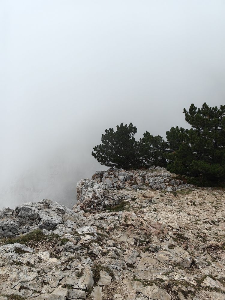 Photograph by Светлана Зыкова