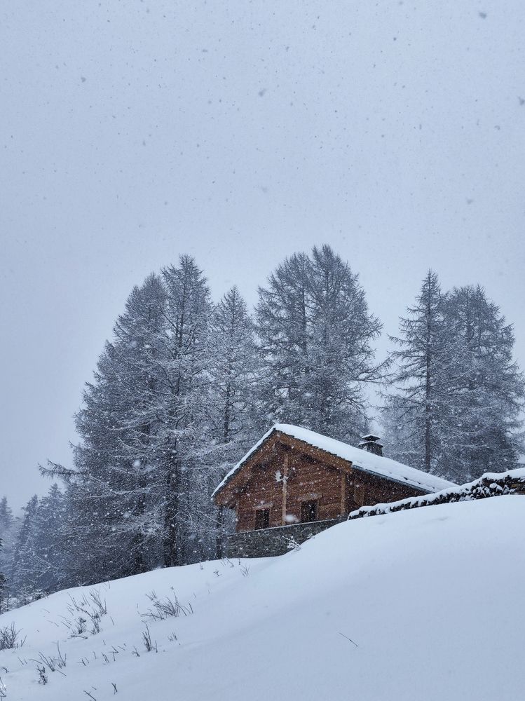 Photograph by Александра Шилова