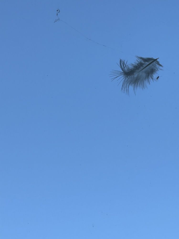 Photograph by Светлана Ионова