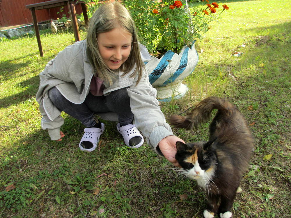 Фотография автора Nelya  Lysenko