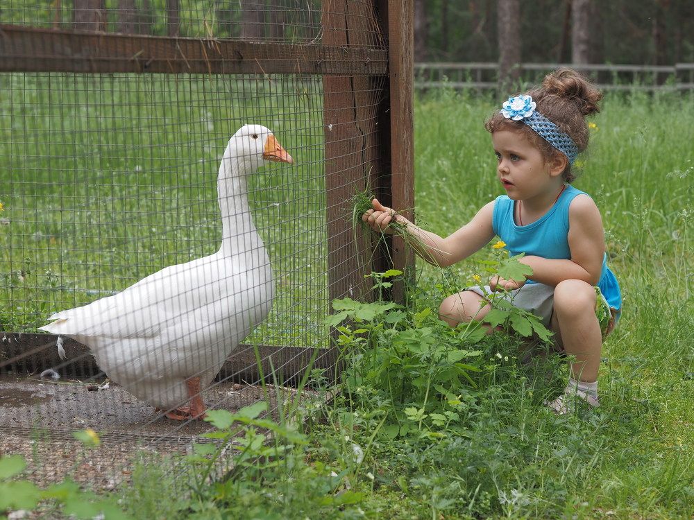 Photograph by Маргарита Ивкова