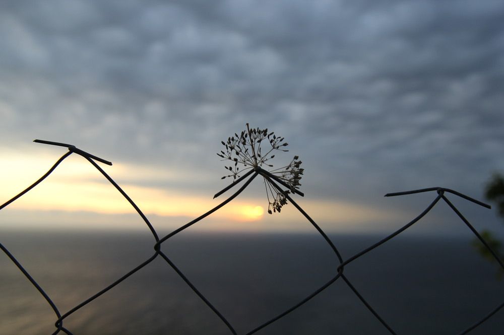Photograph by Tanisha Novikova