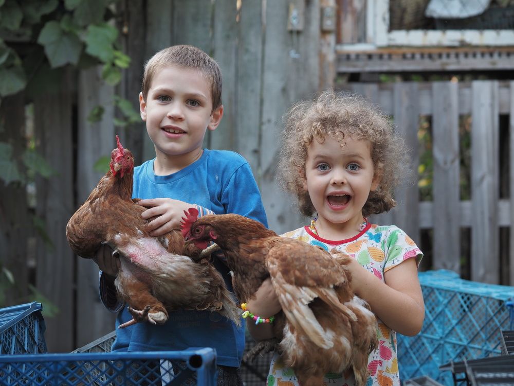 Photograph by Маргарита Ивкова