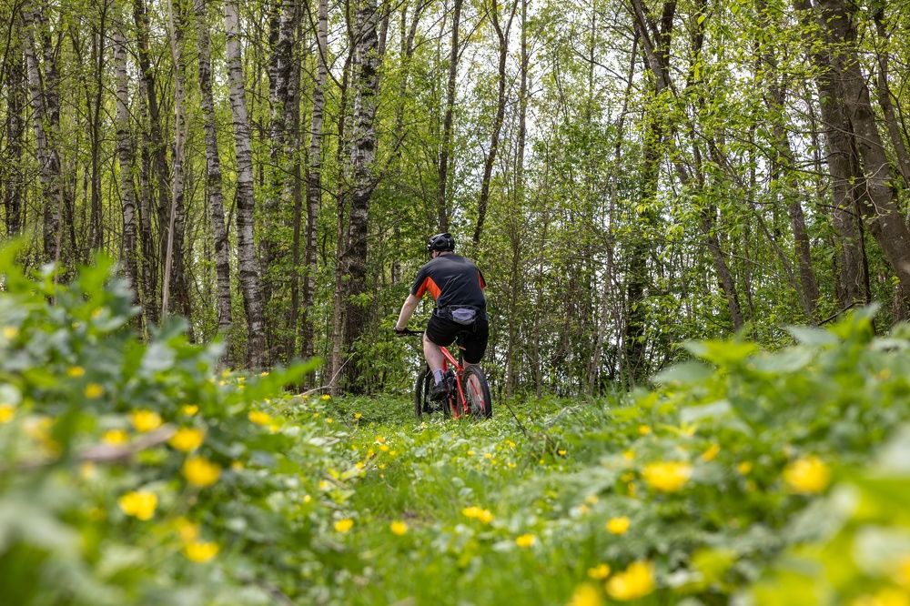 Photograph by Хабаров Сергей