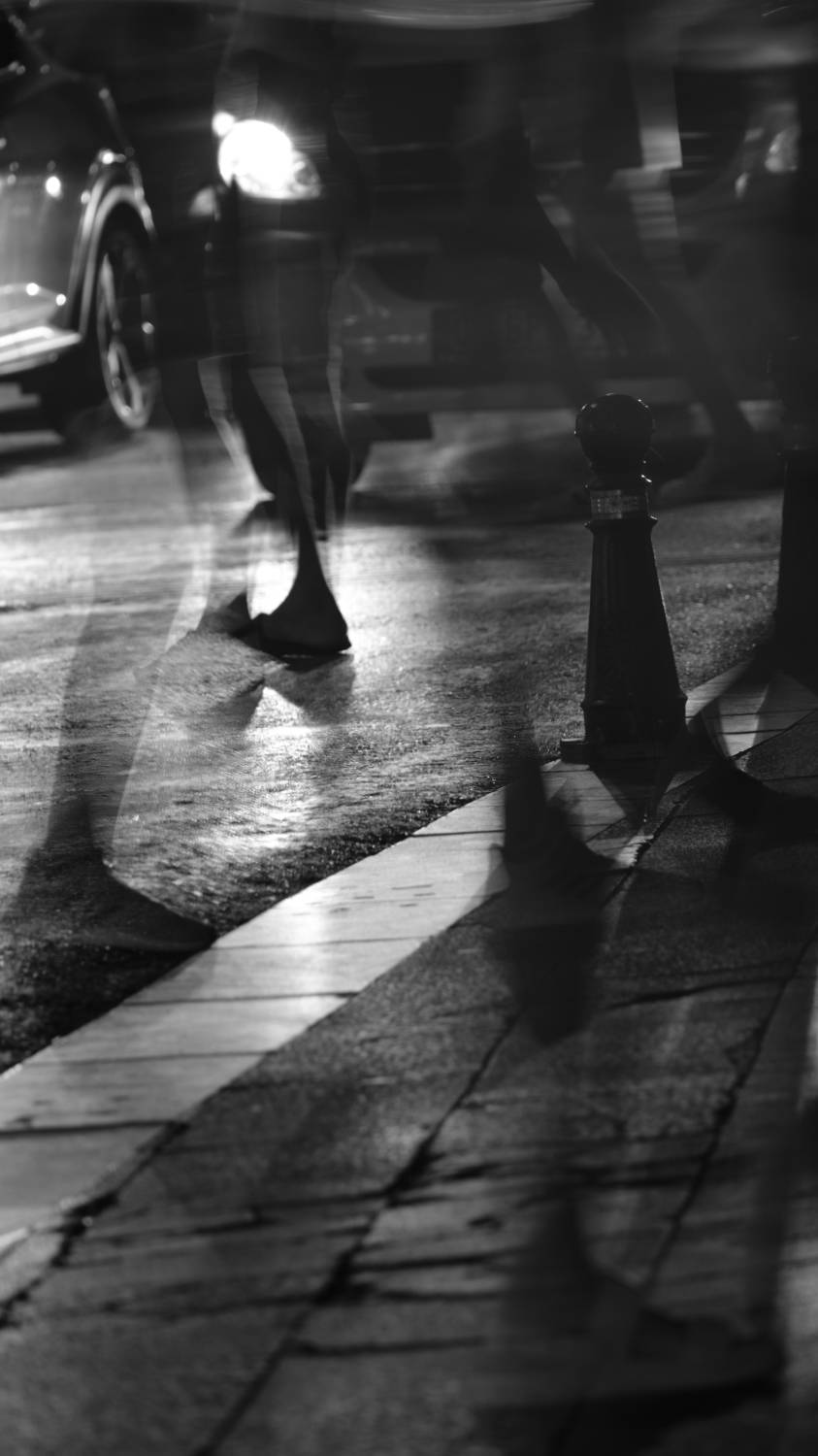 Photo #11388698