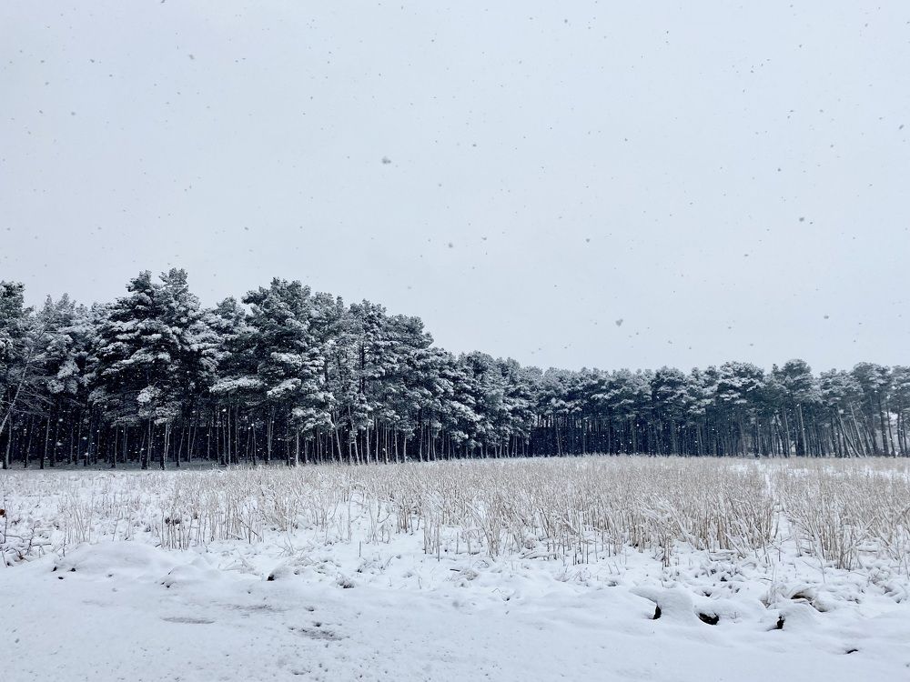 Photograph by Noura Aghdasi