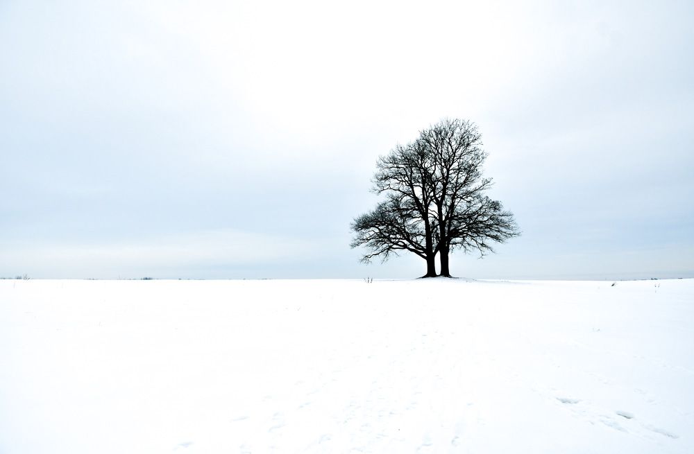 Photograph by Светлана Полушкина