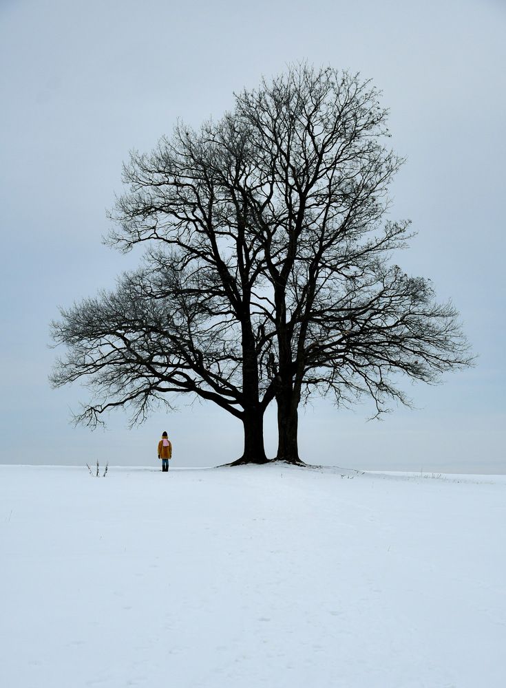Photograph by Светлана Полушкина