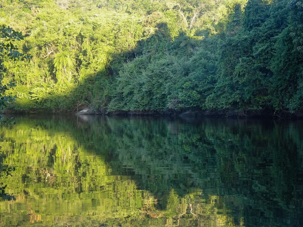 Фотография автора DENISE Monteiro de Lima Demange