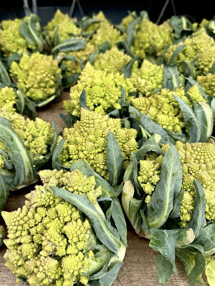 Photograph by Светлана Ионова