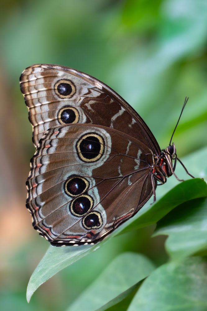 Photograph by Aída Torres