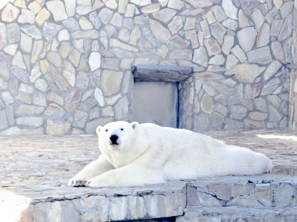 Photograph by Елена Маркова