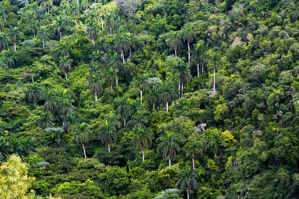 Photograph by Evelyn Carnot Montes