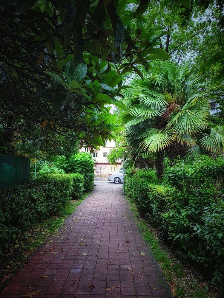 Улочки зимнего Адлера