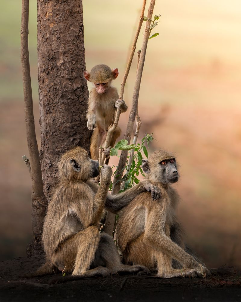 Photograph by Chris Stavrakas