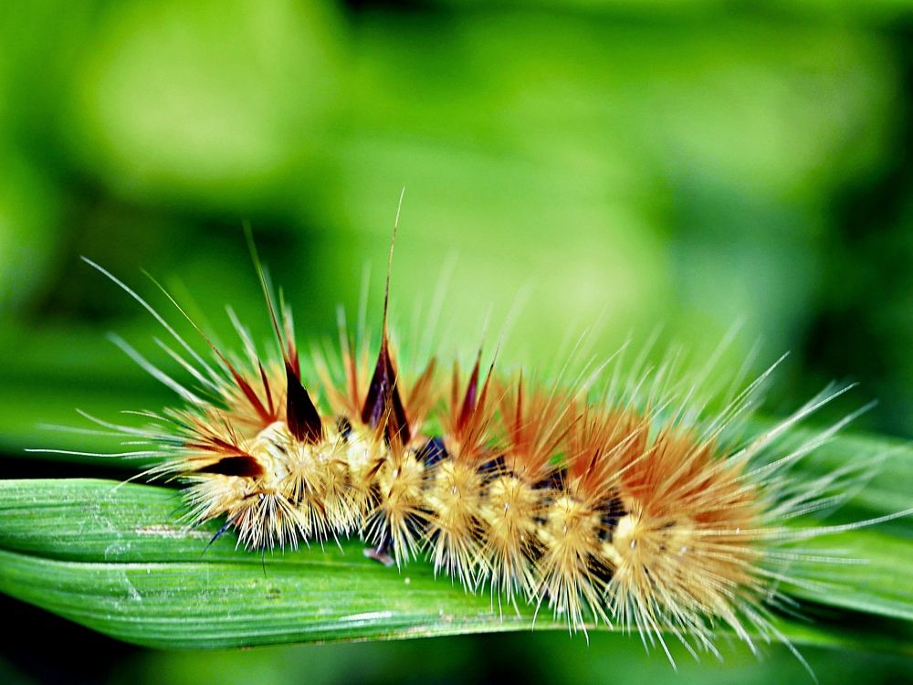 Photograph by Annie Trudel