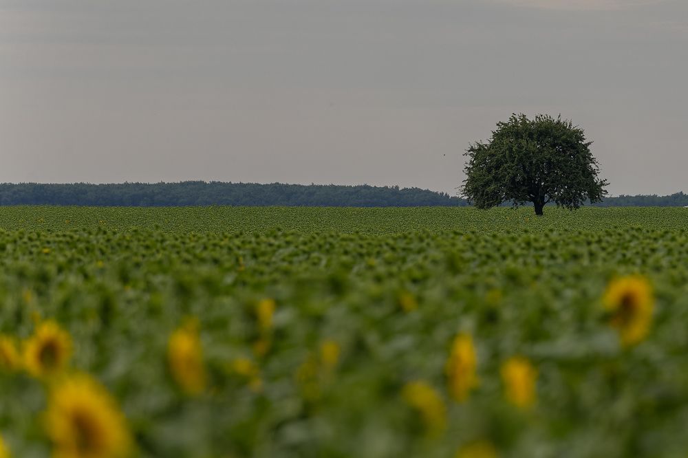 Photograph by George Alexandru Ghiuro